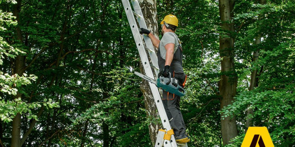 Working at Height Regulations UK: What Ladders Are Allowed?